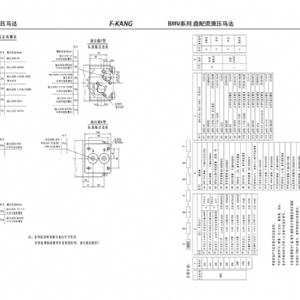 BMV系列擺線液壓馬達(dá)